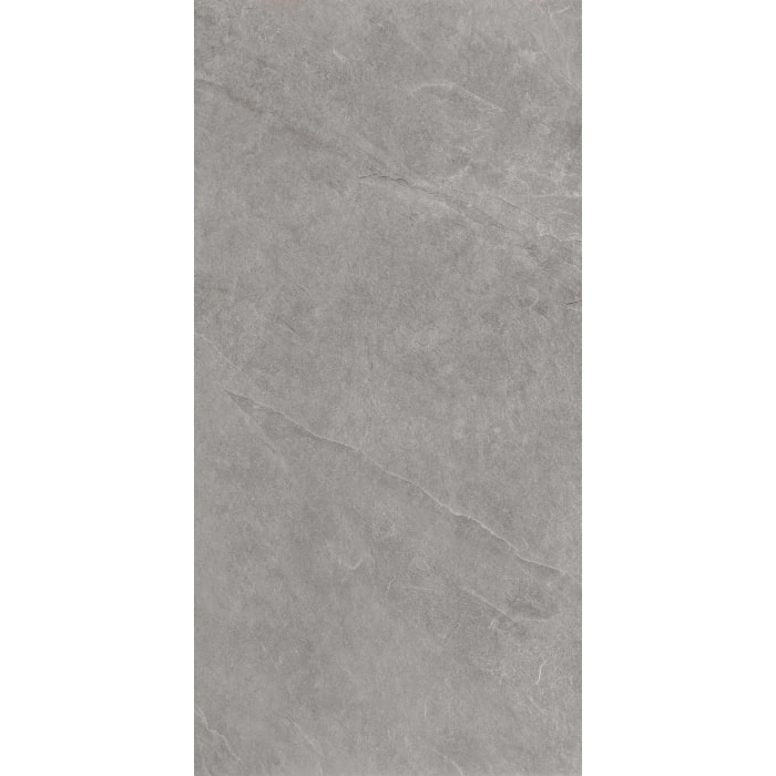 Ash Silver 59,7x119,7 Gres Szkliwiony Rektyfikowany Struktura Ceramica Limone